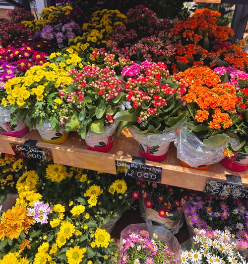 Free Flowers in Supermarket Stock Photo