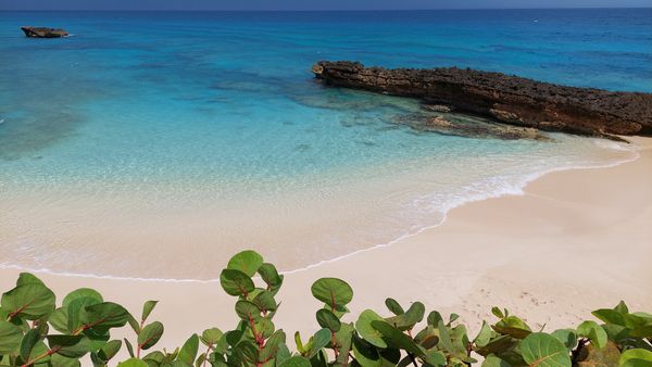 Tropical Beach Golden Sand jigsaw puzzle