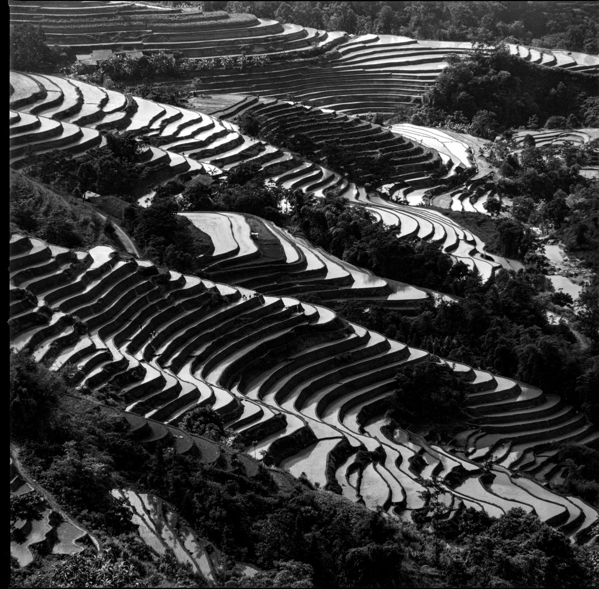 Mountain terraces stepping down into misted valley