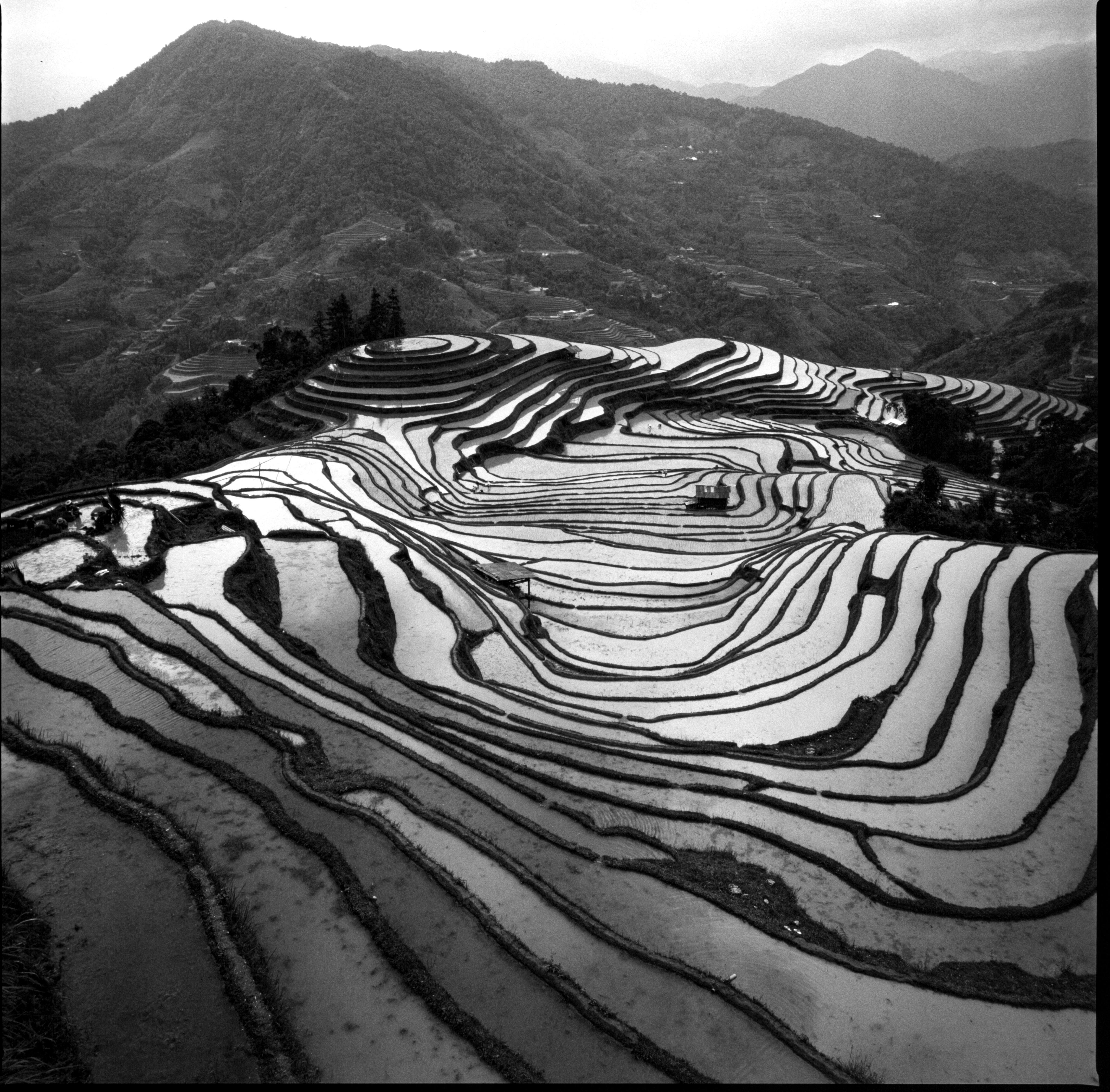 A breathtaking view of terraced fields in Hà Giang, Vietnam, showcasing natural beauty.