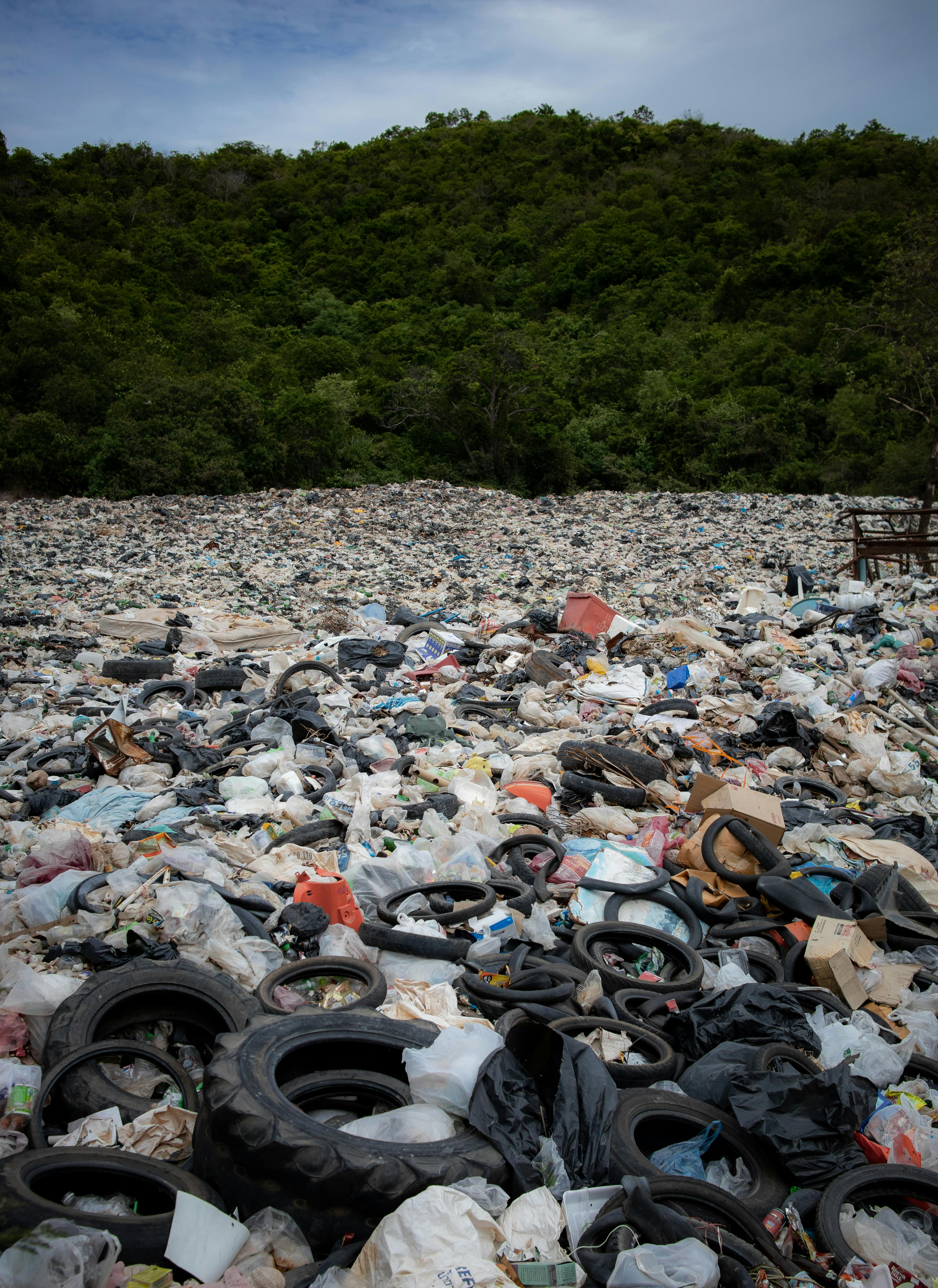 An image of a large landfill next to a forest