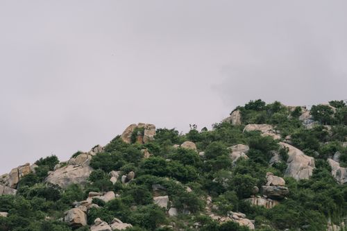 Free Explore the natural beauty of rocky hills in Phan Rang, Vietnam. Stock Photo