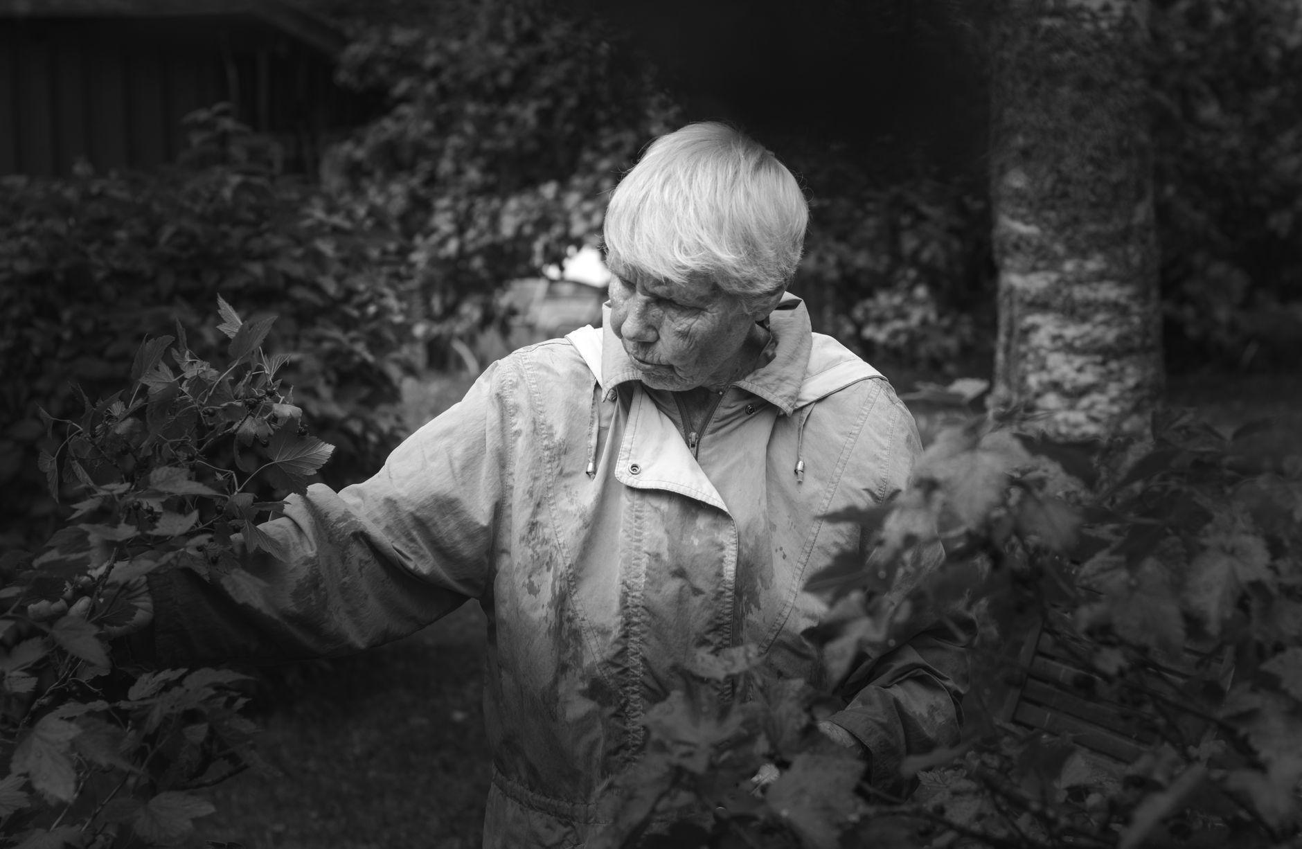 A senior woman enjoys leisurely gardening outdoors, capturing a timeless moment in monochrome.