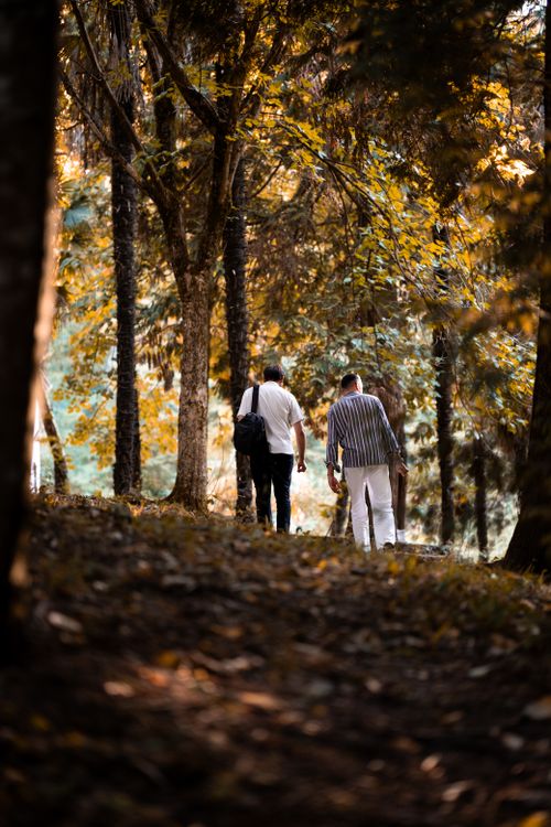 Free A couple enjoying a peaceful autumn walk in a forest park in İstanbul. Stock Photo