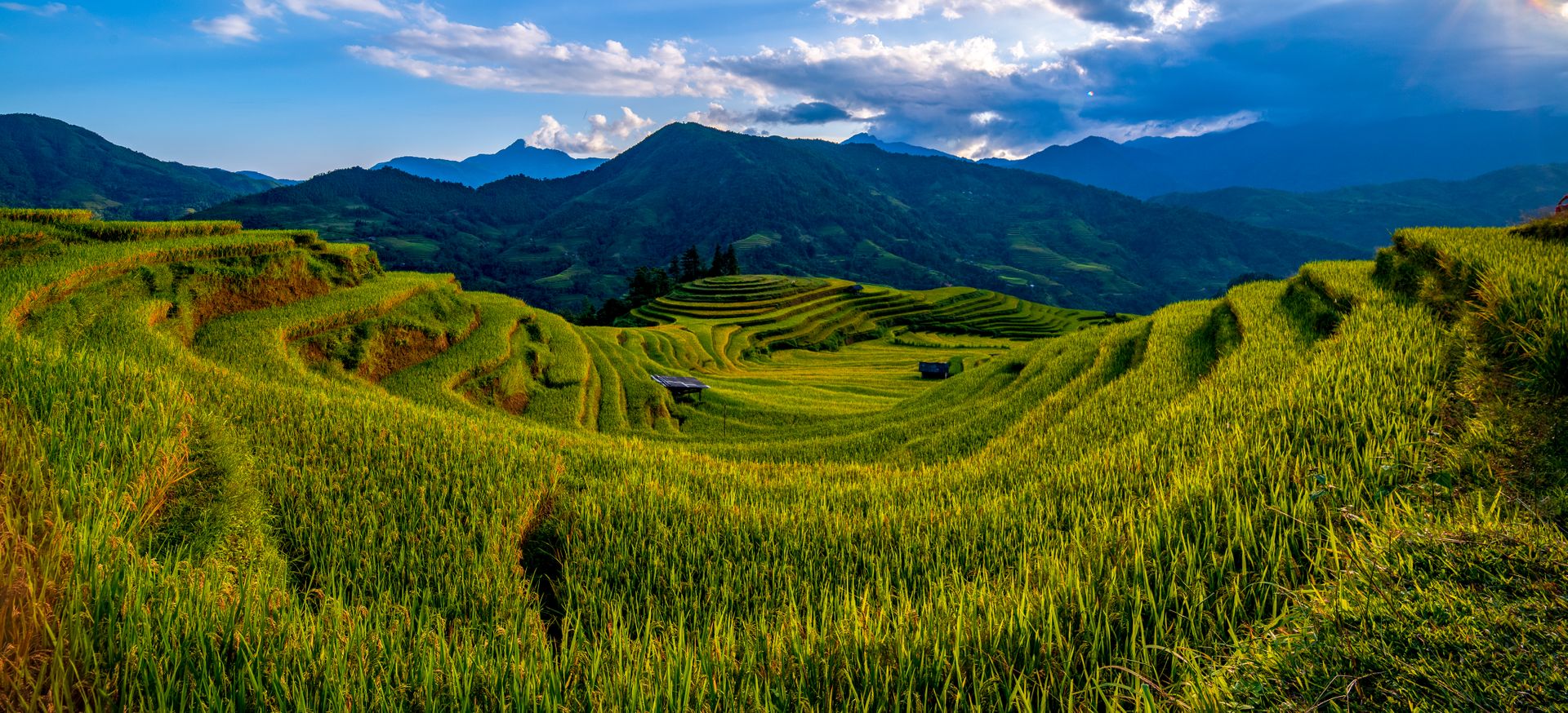 Stunning landscape of lush green rice terraces in a mountainous region under a bright sky.