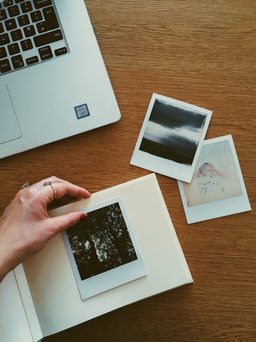 Free Person Holding Photo of Plant Stock Photo