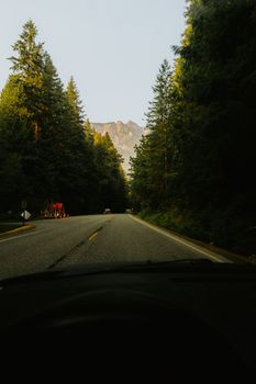 A tranquil drive through a forested road at dawn with mountains in the background.