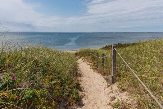 Cape Cod day trip with lobster — Boston