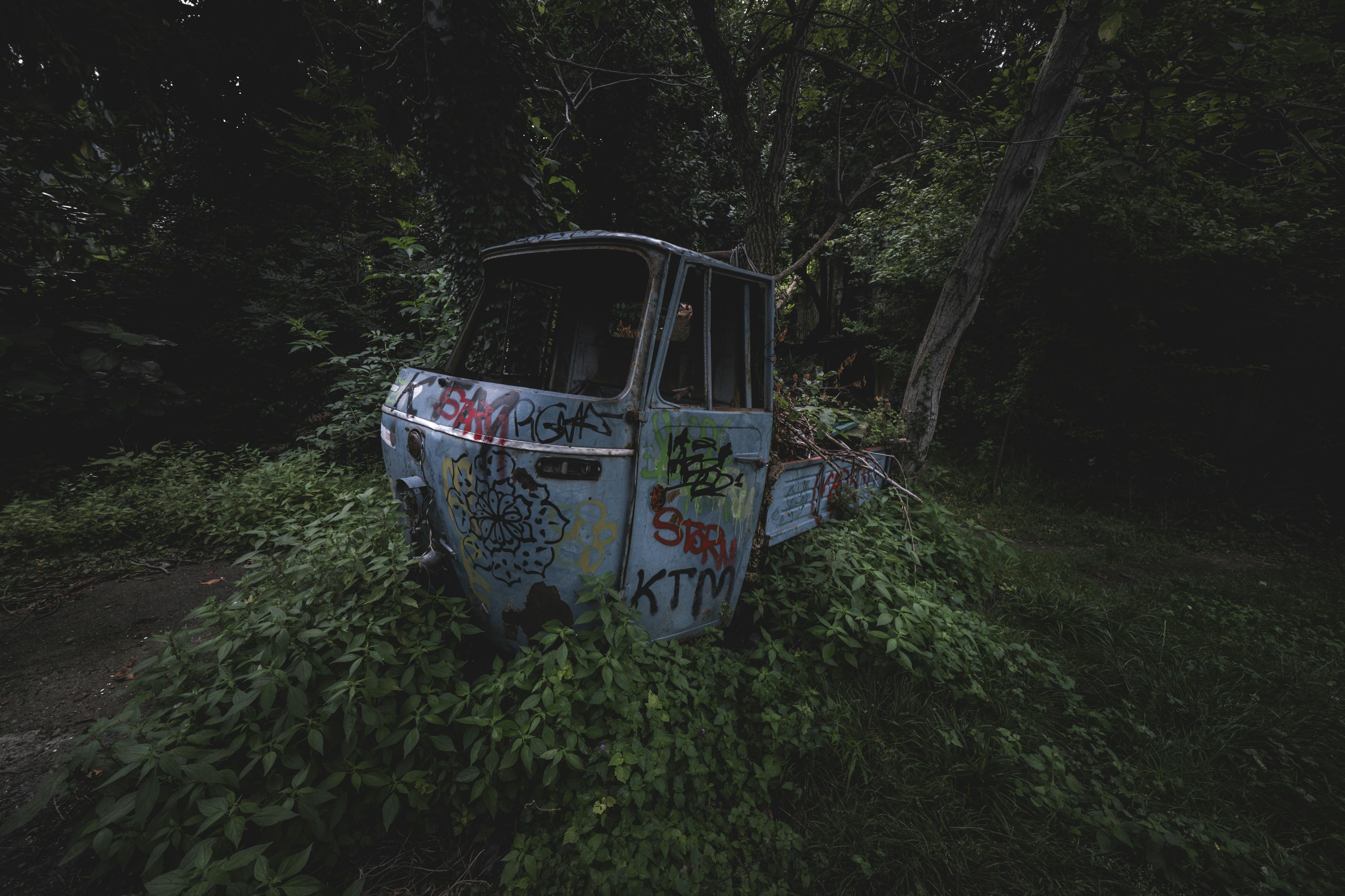 Hidden Treasures in National Parks: Exploring Nature's Secrets