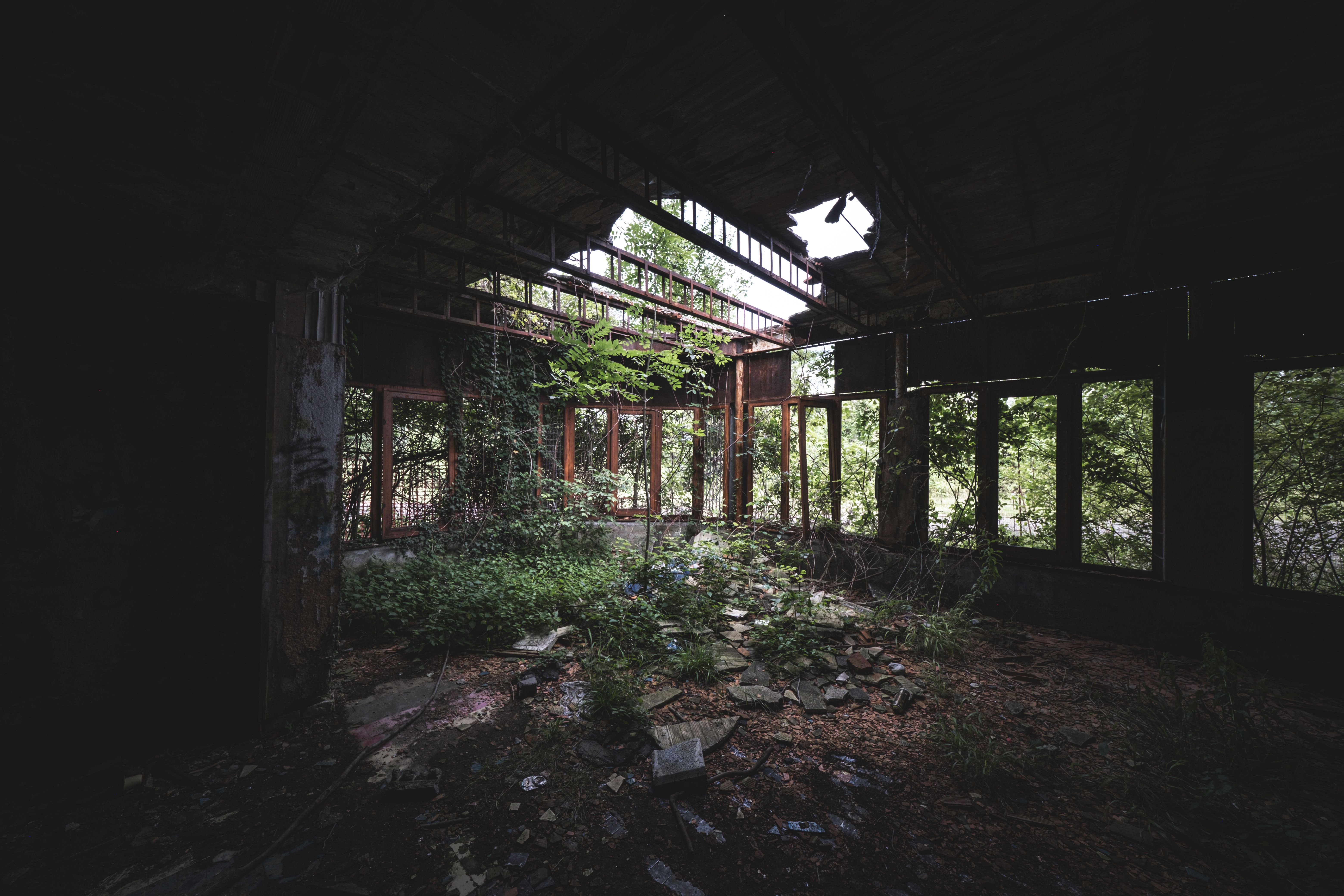 An abandoned building with lots of windows and plants · Free Stock Photo