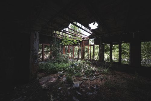Free Dilapidated room overgrown with vegetation through broken windows, depicting urban decay. Stock Photo
