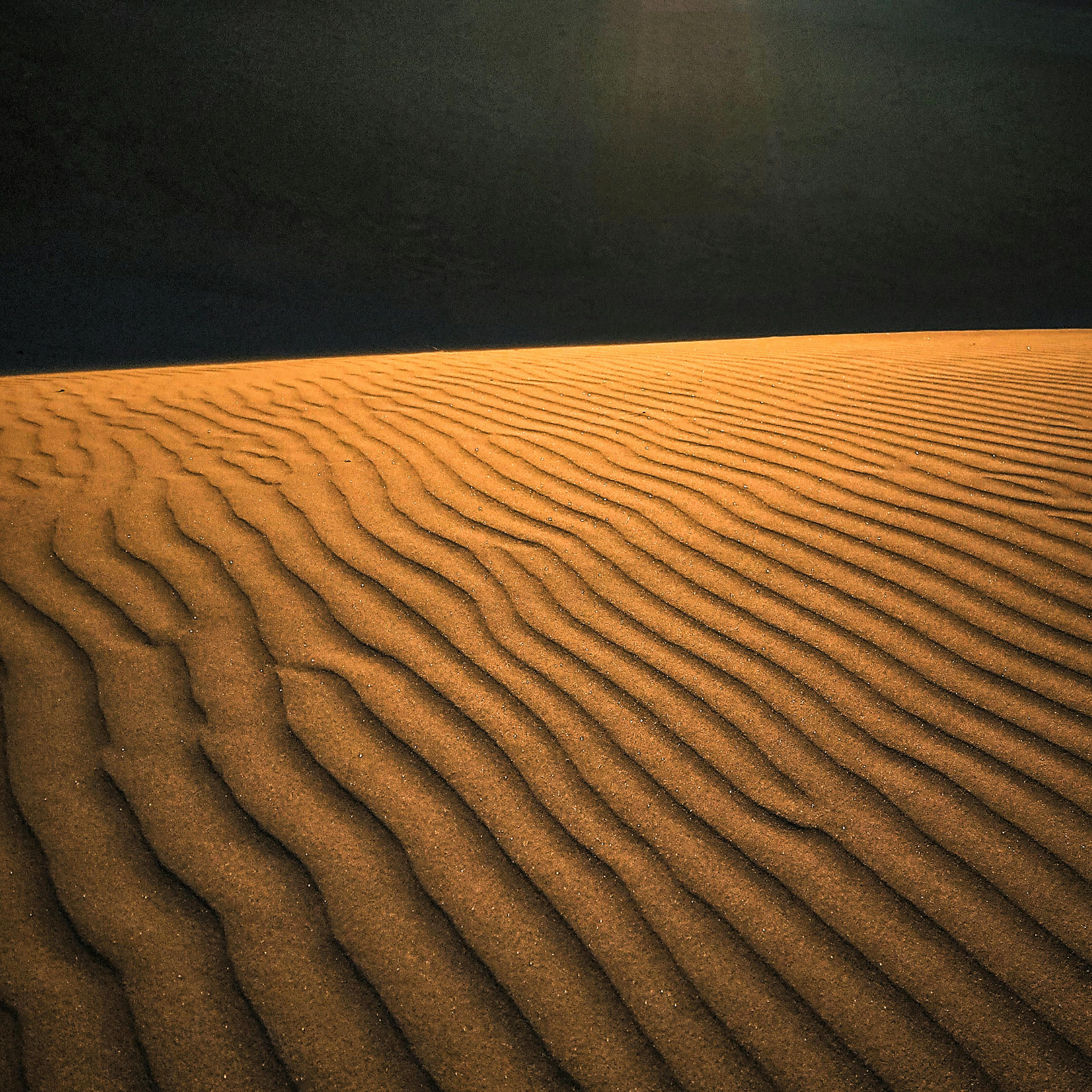 Captivating view of rippled sand dunes under the warm glow of sunset in a vast desert.