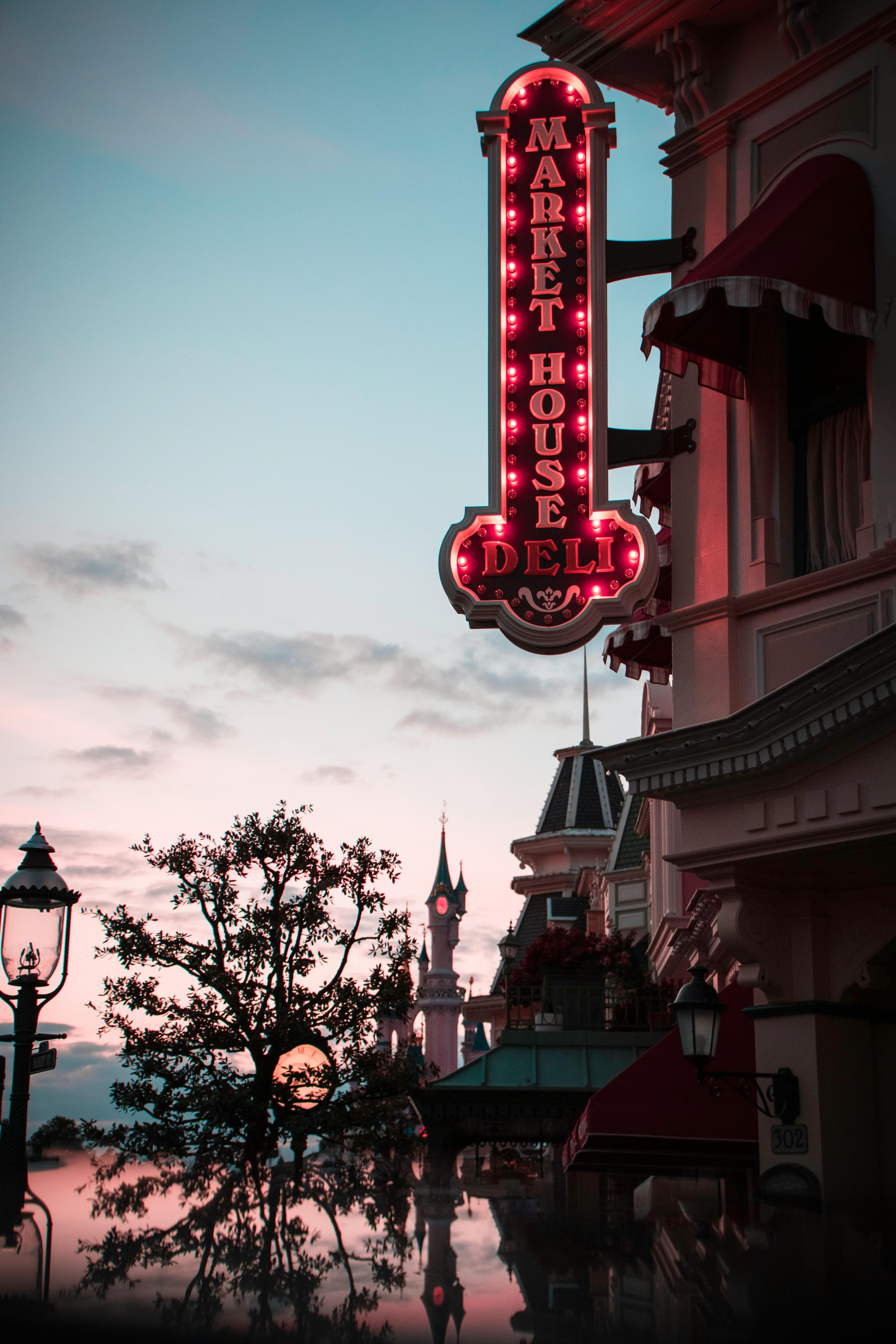 Wandering through Disneyland at night. A beautiful | Stable Diffusion