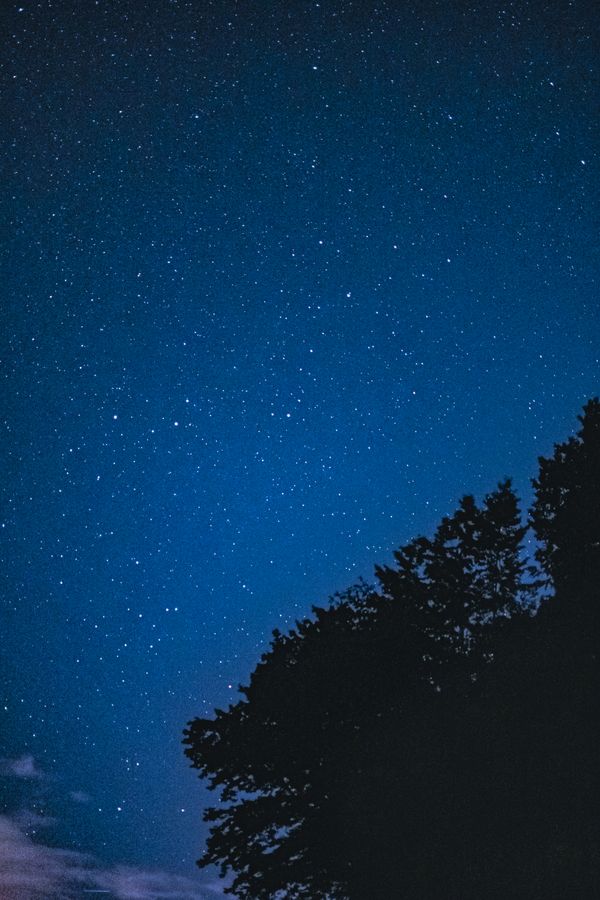 Night sky filled with stars above silhouetted trees, photo by Artem Makarov on Pexels