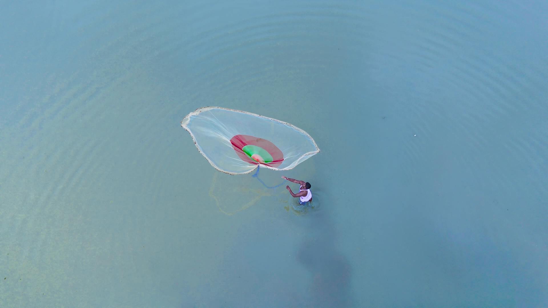 A fisherman skillfully casts a fishing net in calm, clear water from above.