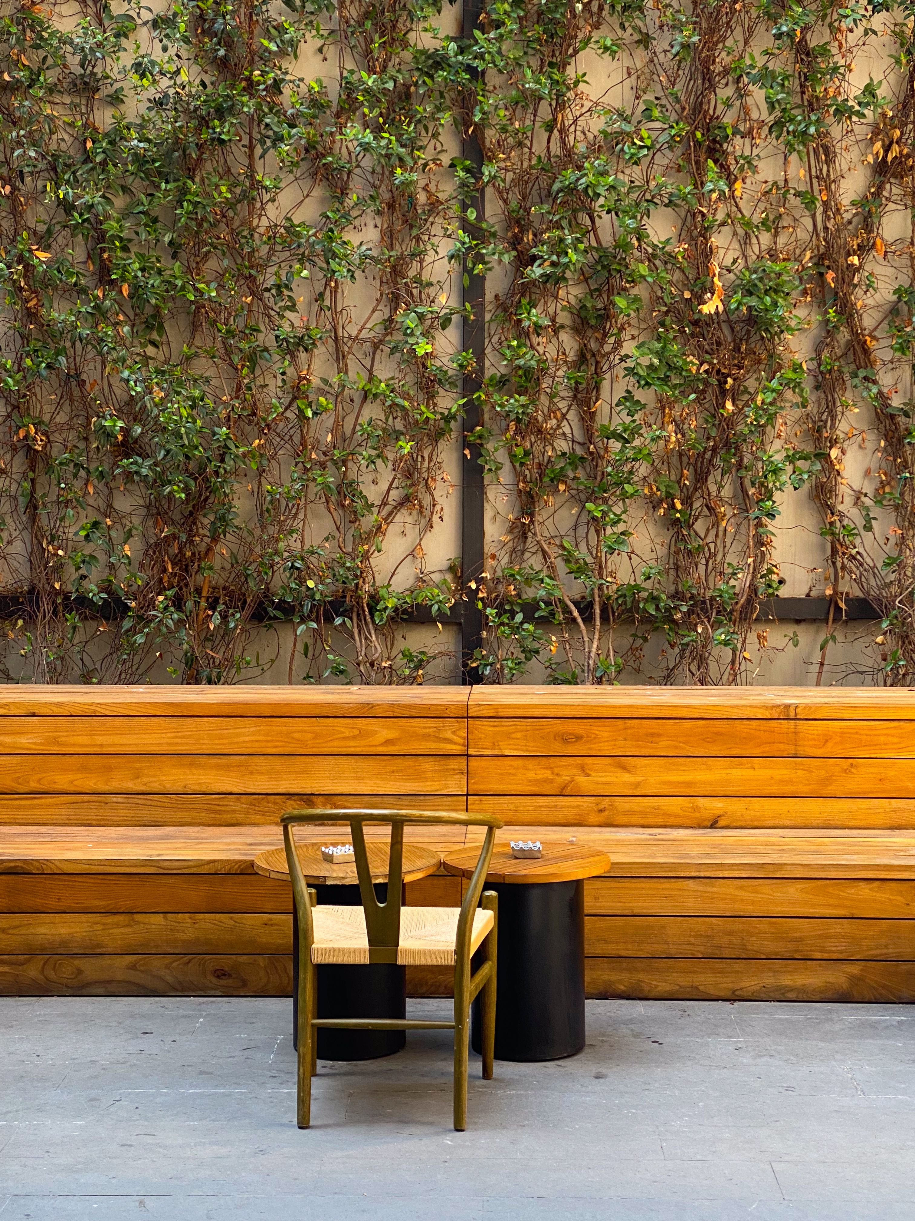 A bench and table in front of a wall with plants · Free Stock Photo