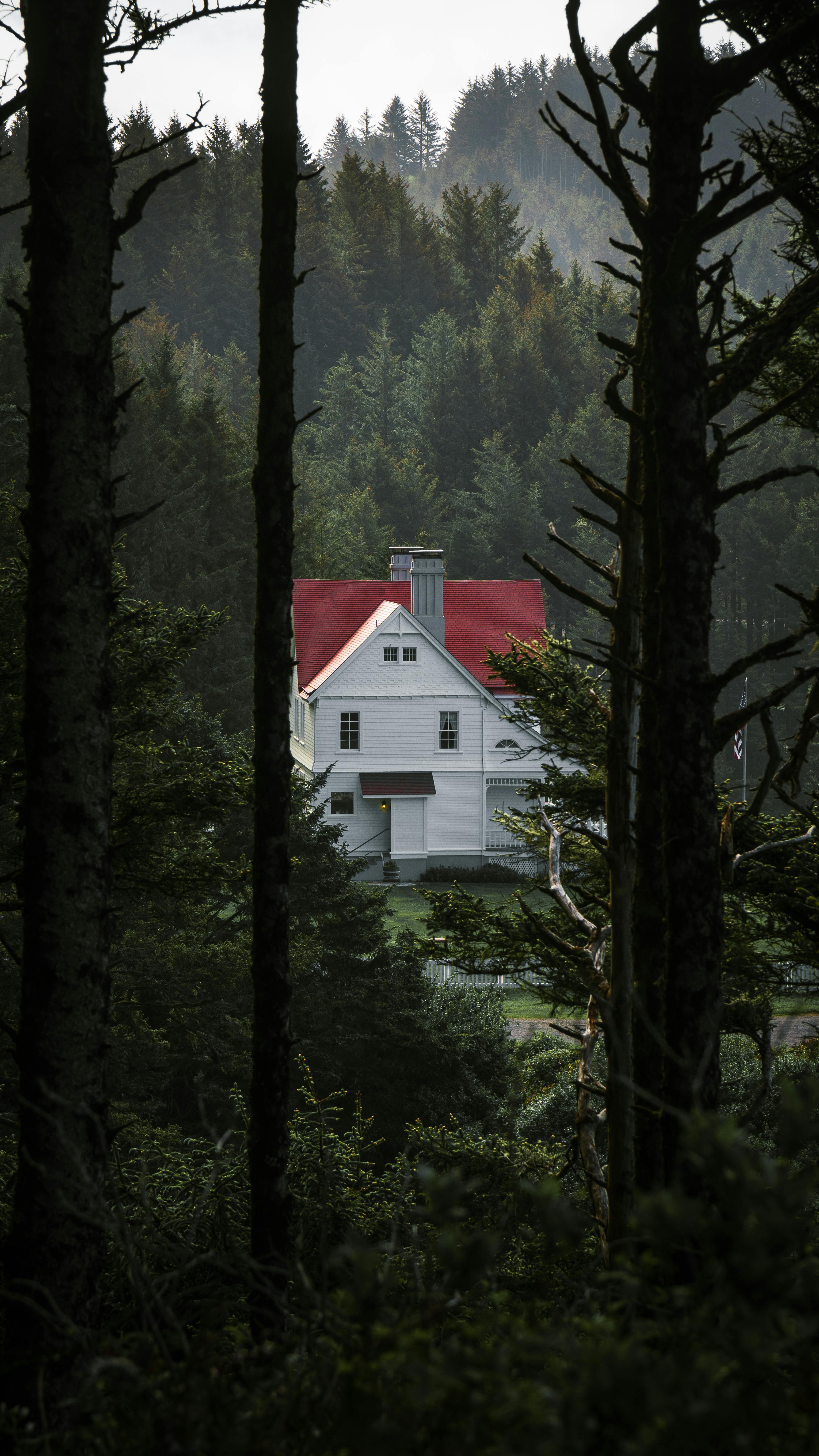 A picturesque white house with a red roof nestled within lush forest trees in Yachats, Oregon.