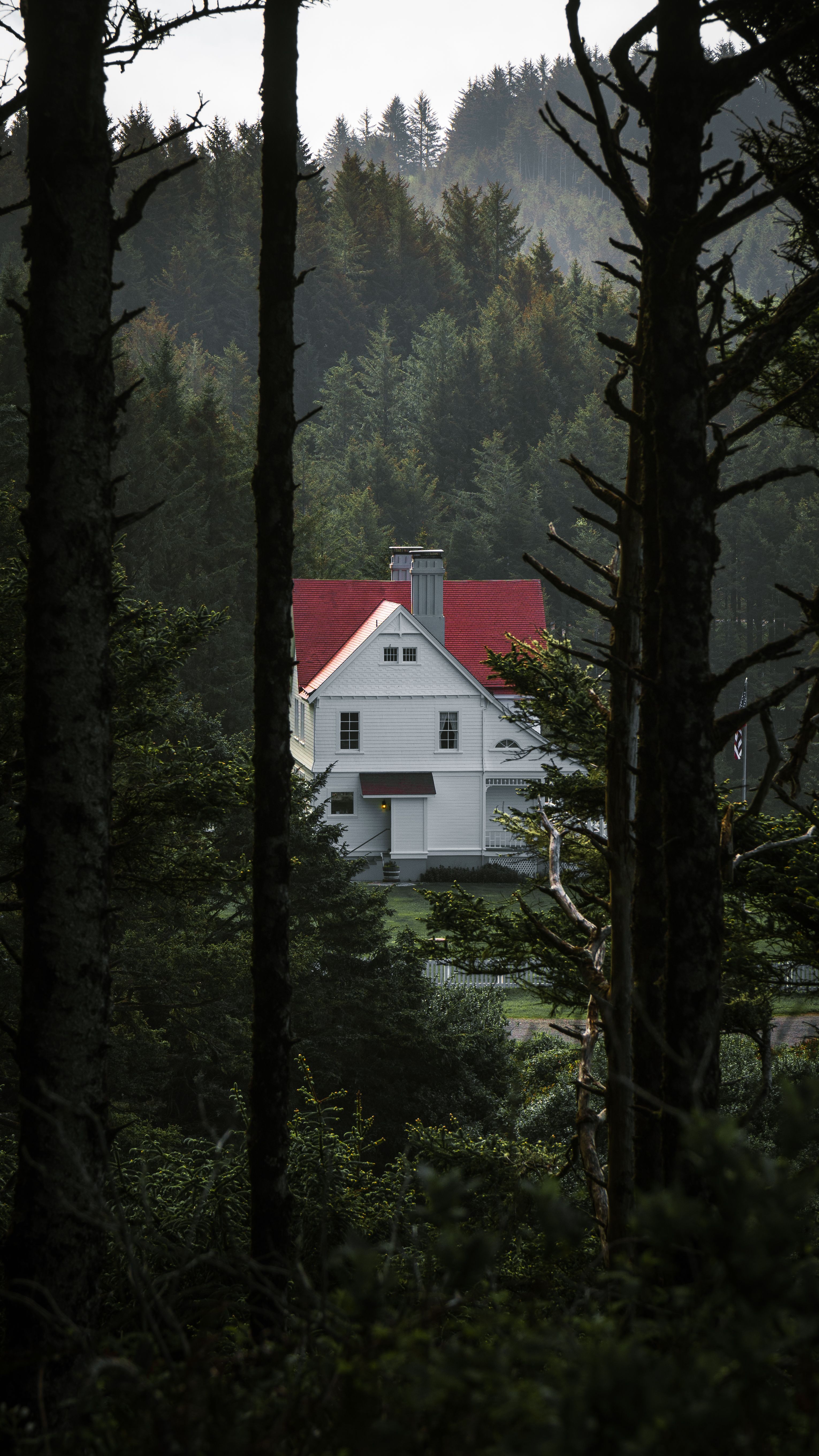 Pacific Northwest home in the forest