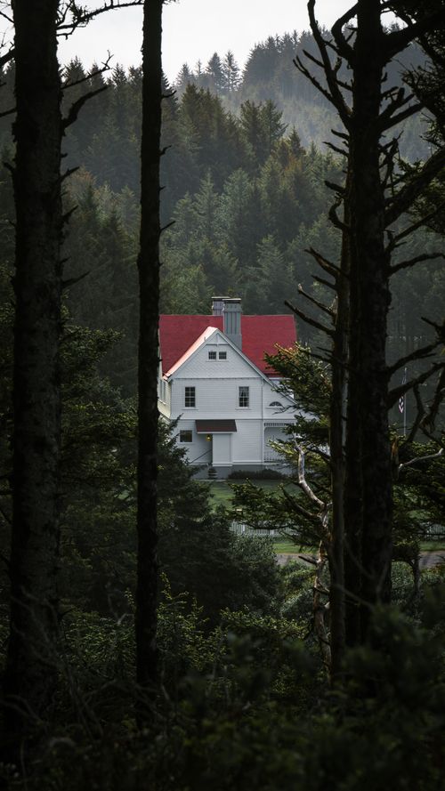 Free A picturesque white house with a red roof nestled within lush forest trees in Yachats, Oregon. Stock Photo