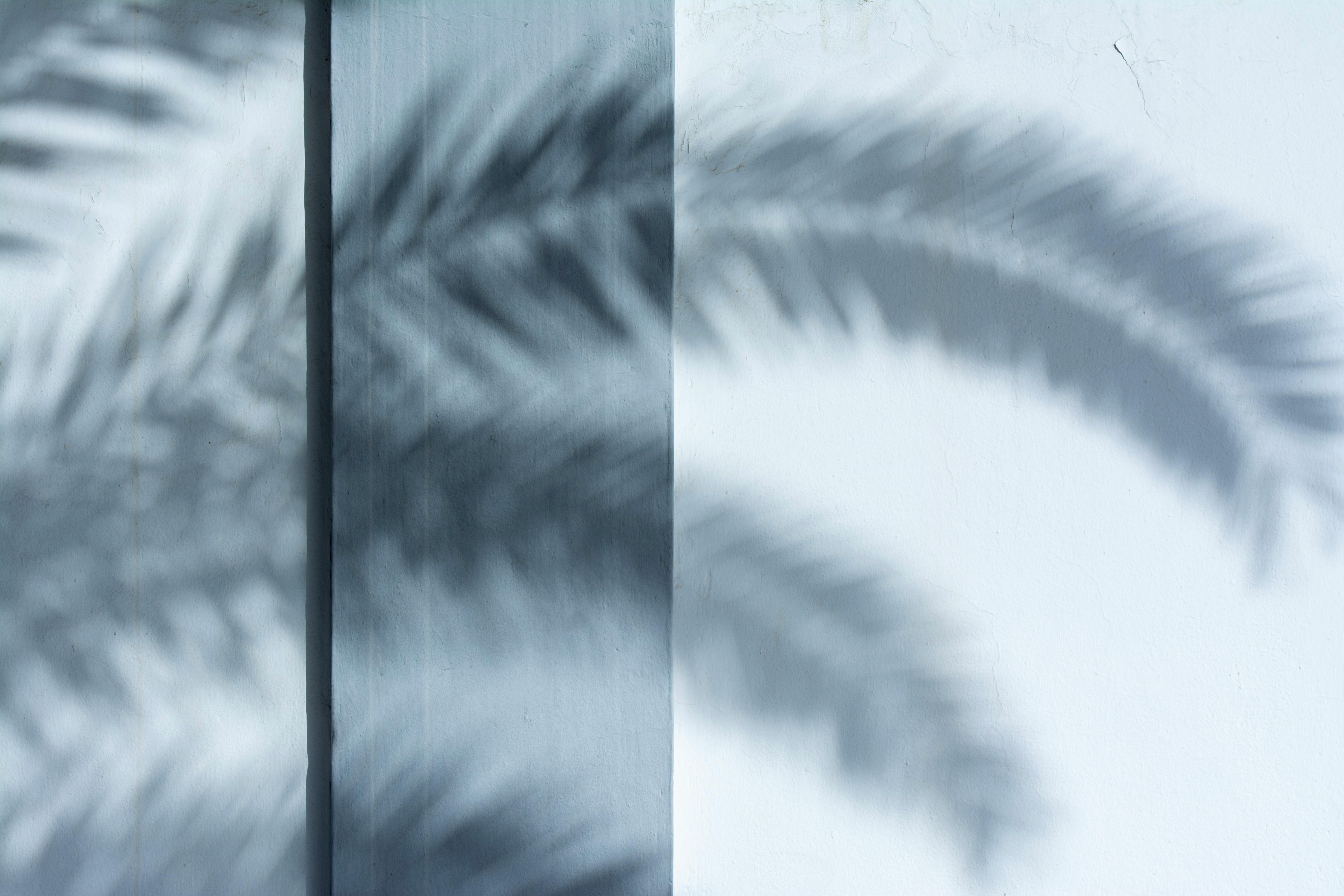 Gratuit Imagine de stoc gratuită din abstract, armonie, artă Fotografie de stoc