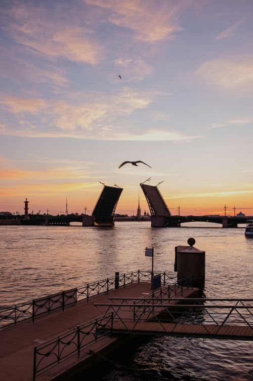 Free Beautiful sunset over a river with a drawbridge raised and a seagull flying by. Stock Photo