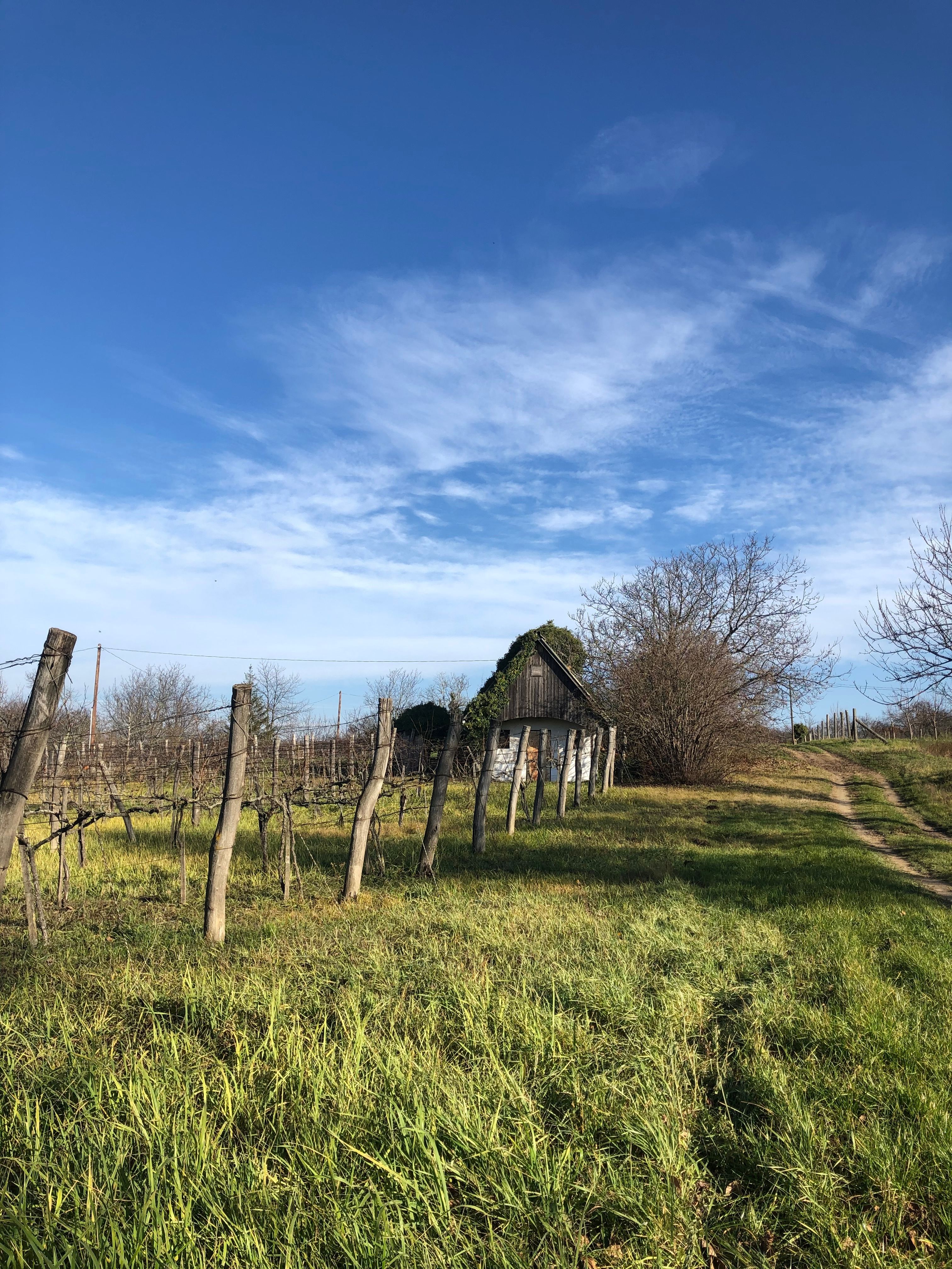 Uitzicht over Hongaars landschap met woningen en natuur