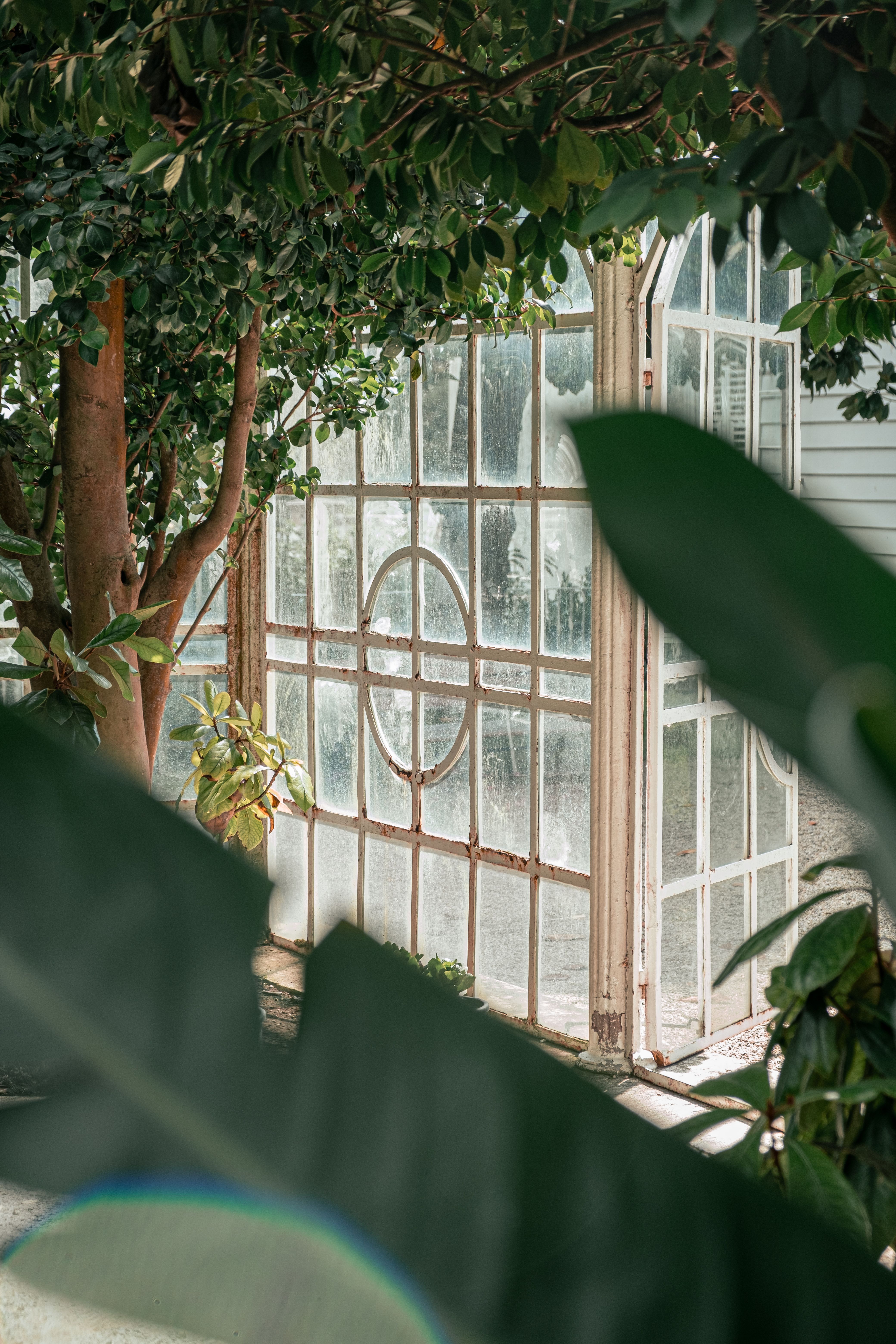 A window with a view of plants and trees · Free Stock Photo