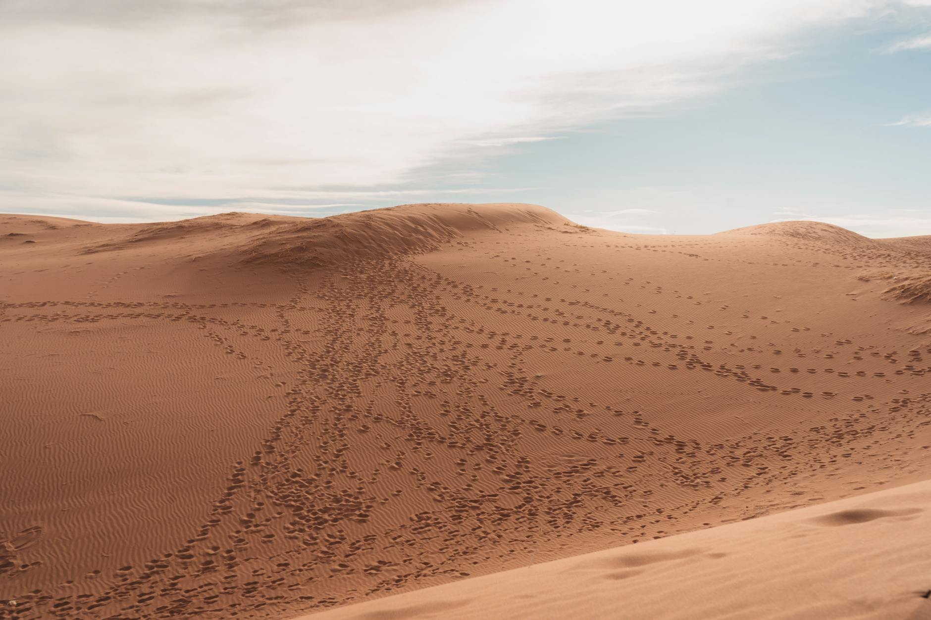 https://www.pexels.com/photo/traces-on-desert-27700670/