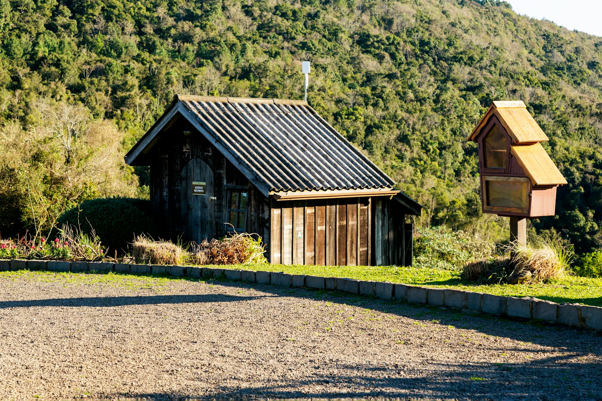 Charming wooden cabin and mailbox in a sunlit rural landscape with lush greenery.