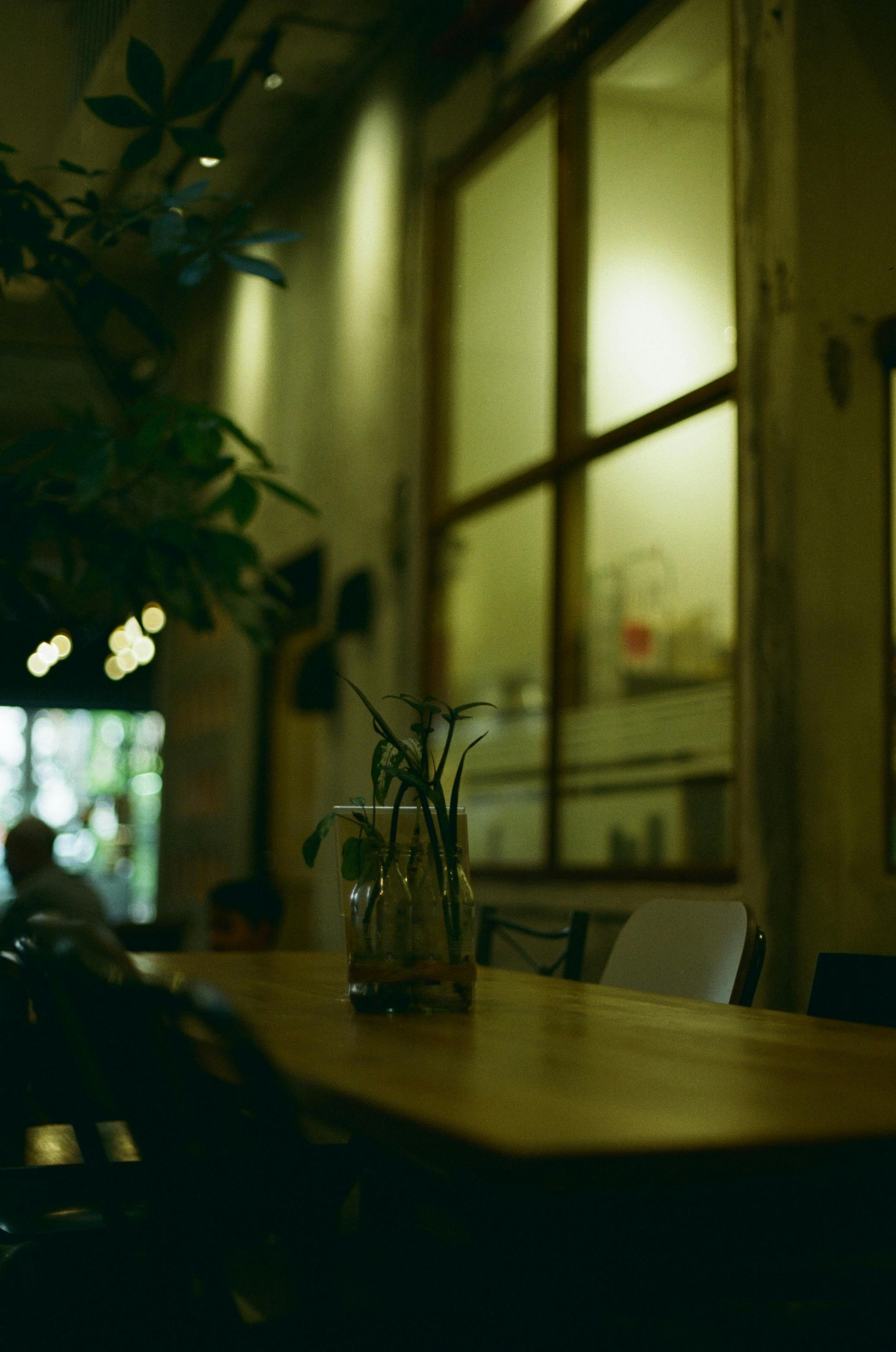 Free Warm and inviting cafe interior showcasing ambient light, rustic decor, and a tranquil atmosphere. Stock Photo