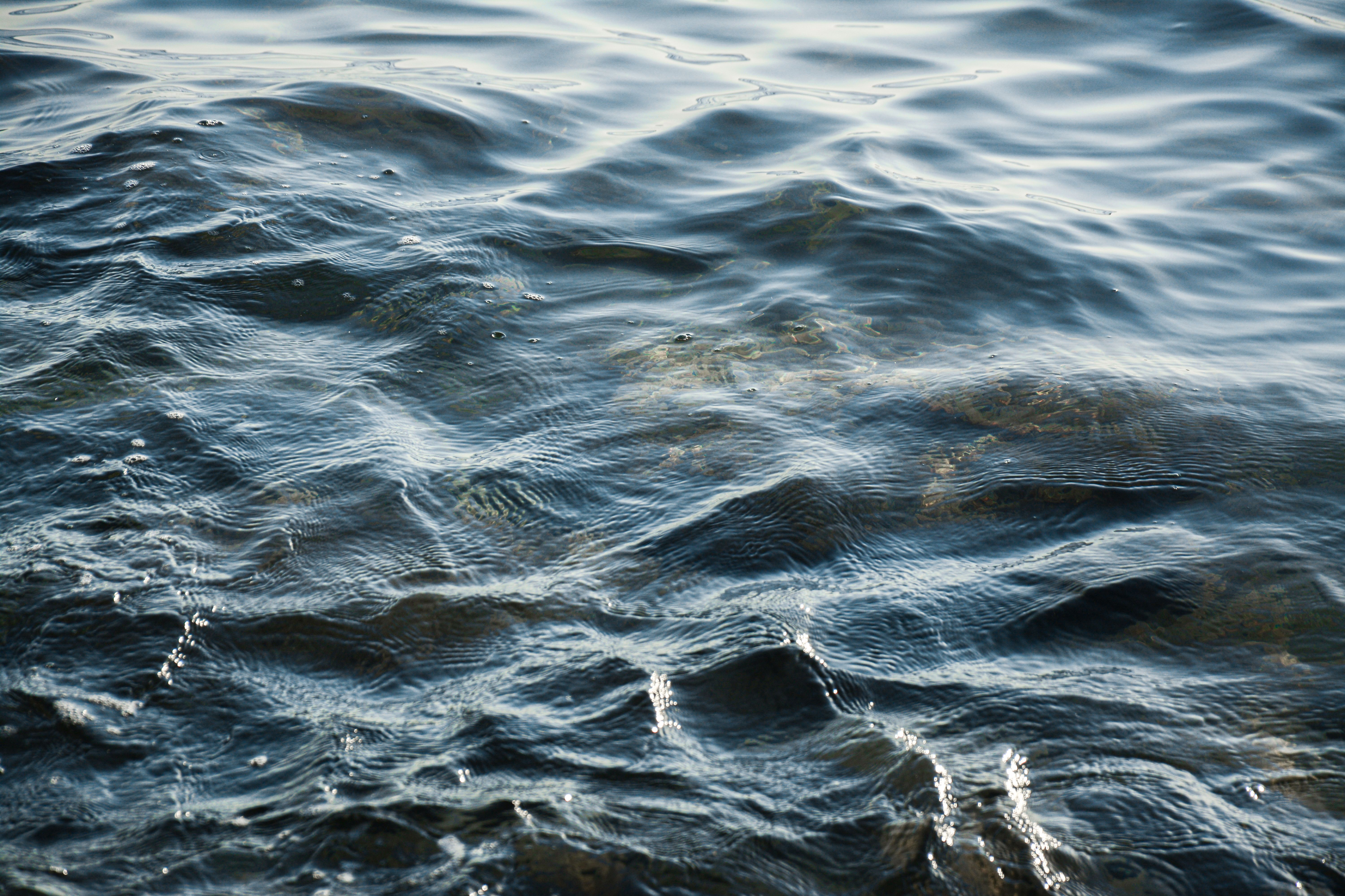 Water surface with waves and ripples · Free Stock Photo