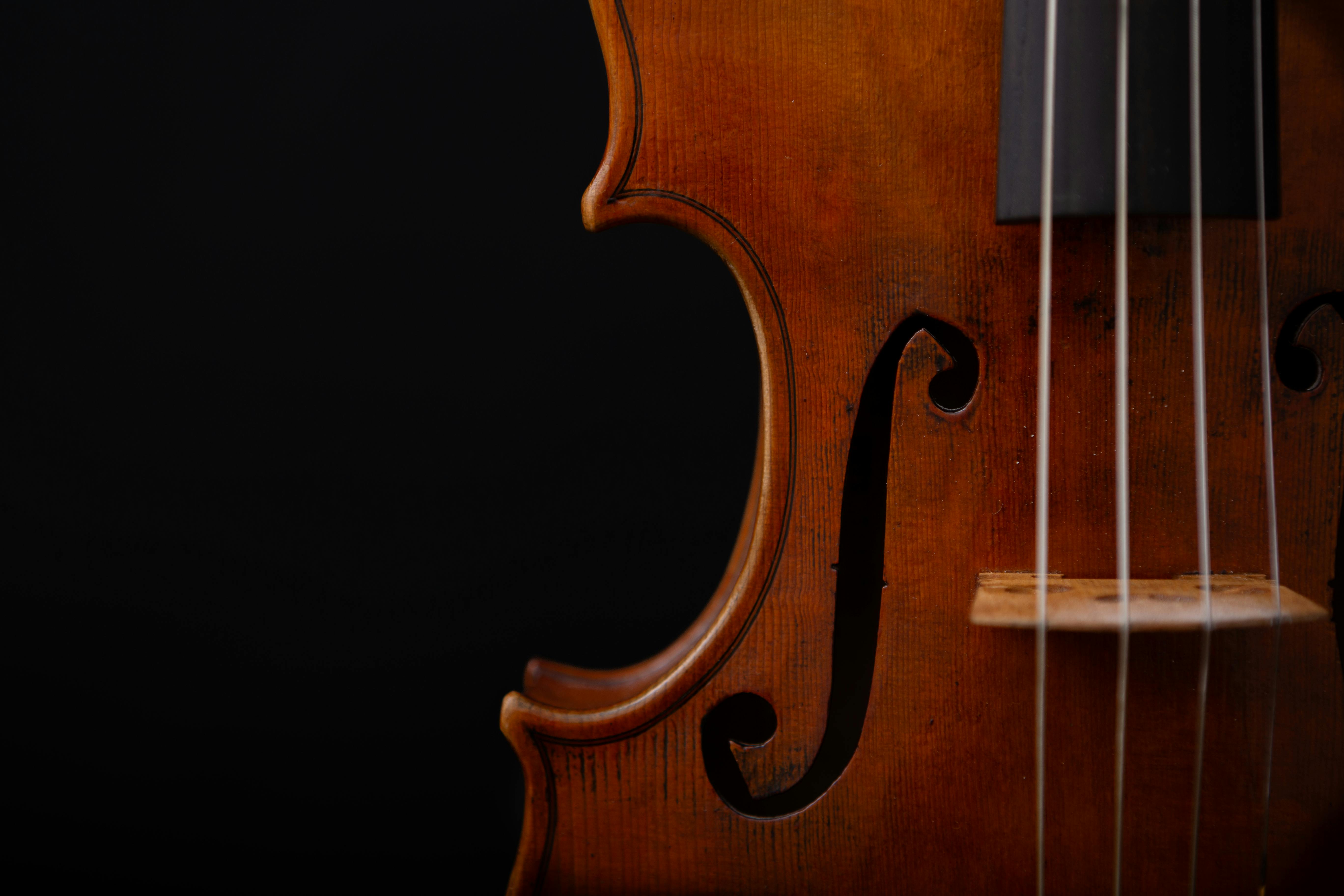 Detailed close-up of a violin's F-hole and strings showcasing its wooden texture.