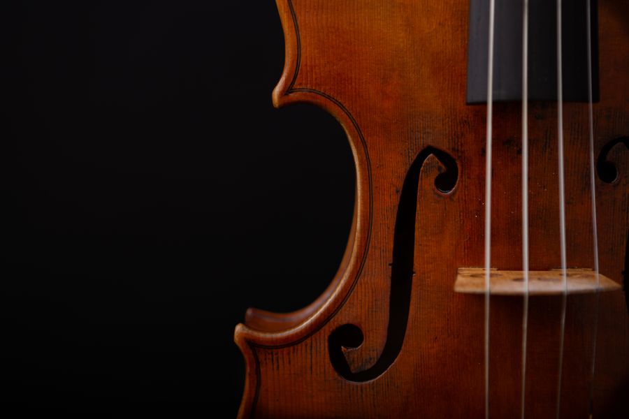 Macro of a viola f-hole