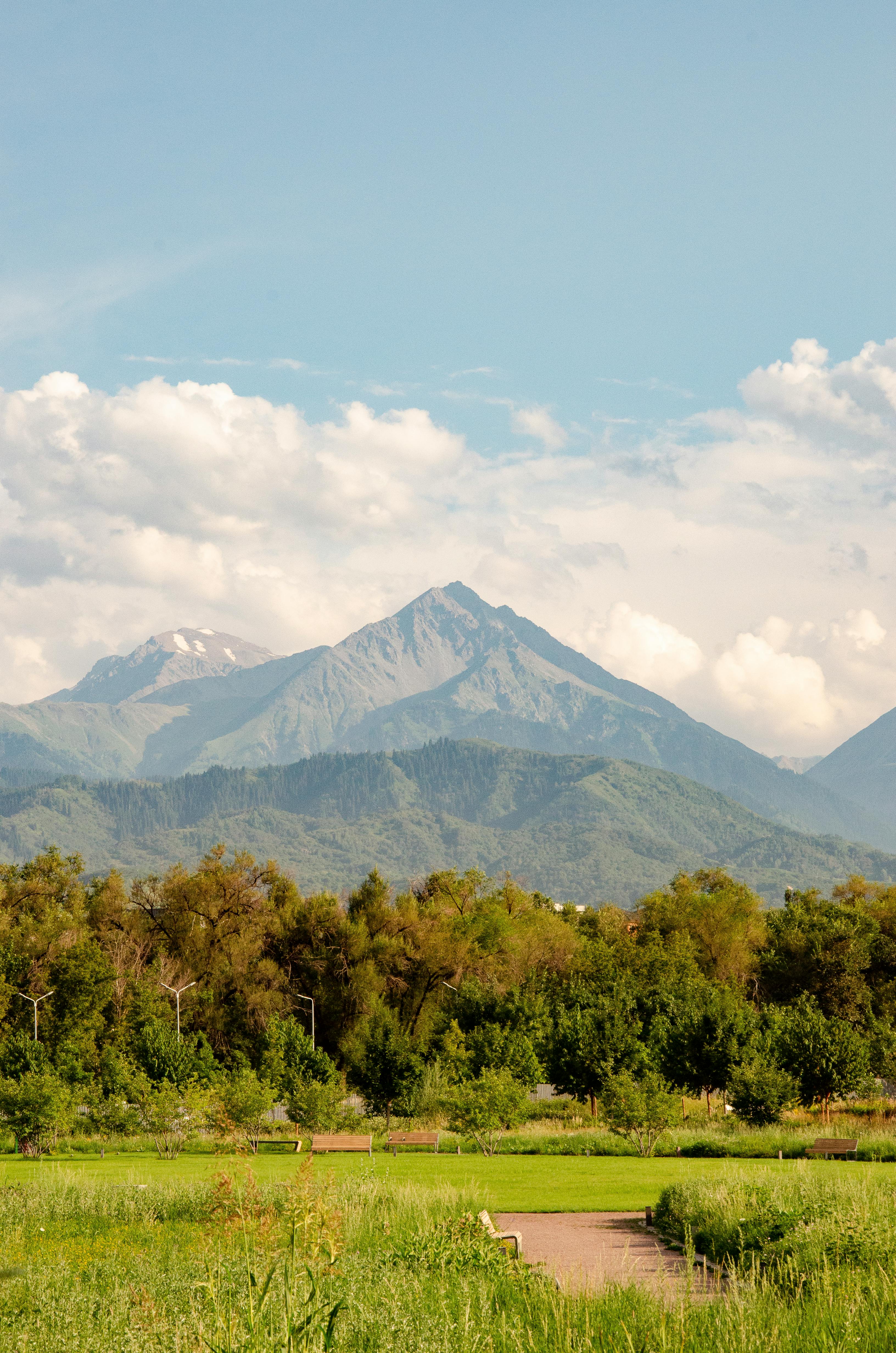 Breathtaking landscape of Almaty's mountains with lush greenery and clear skies, ideal for nature lovers.
