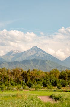 Breathtaking landscape of Almaty's mountains with lush greenery and clear skies, ideal for nature lovers.