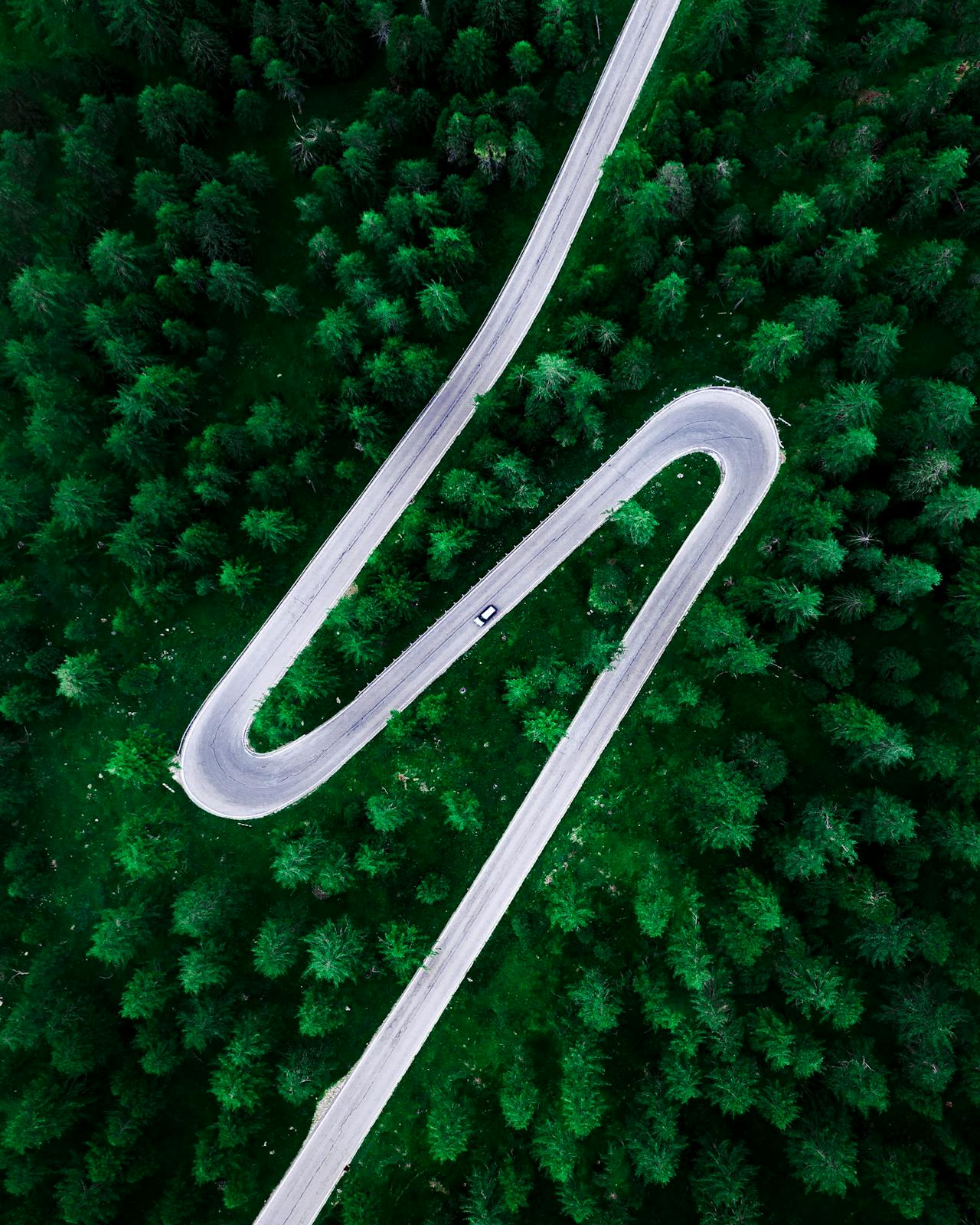 Jungle Concept