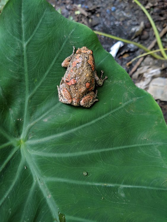 AI法官如何重塑司法正義?《Mercy》電影剖析2026年科技法庭的衝擊與風險 AI法官如何重塑司法正義?《Mercy》電影剖析2026年科技法庭的衝擊與風險