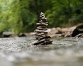 Ground level of various stones placed on blurred wet surface near green plants