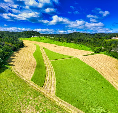 Коричневое и зеленое поле под пасмурным голубым небом