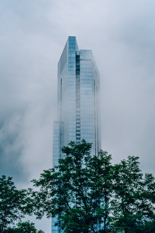 Hohes Gebäude Mit Nebel