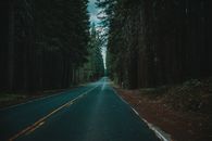这条穿过茂密森林、风景如画的道路，凸显了深入大自然的无尽旅程