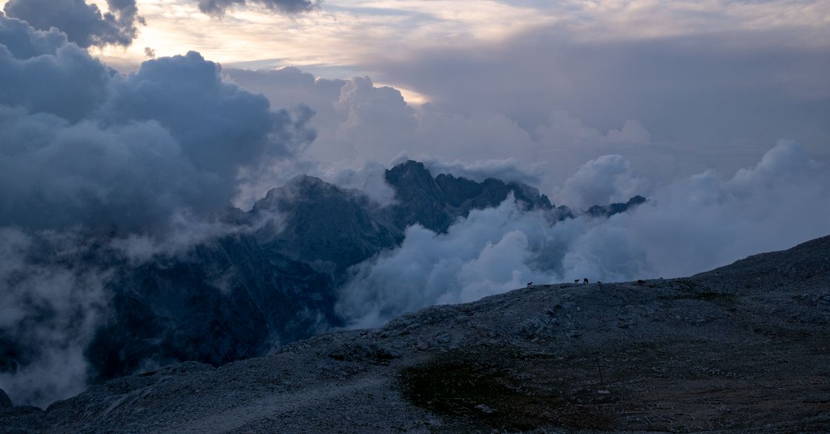 10 Activités Sportives d'Aventure à Tester Absolument
