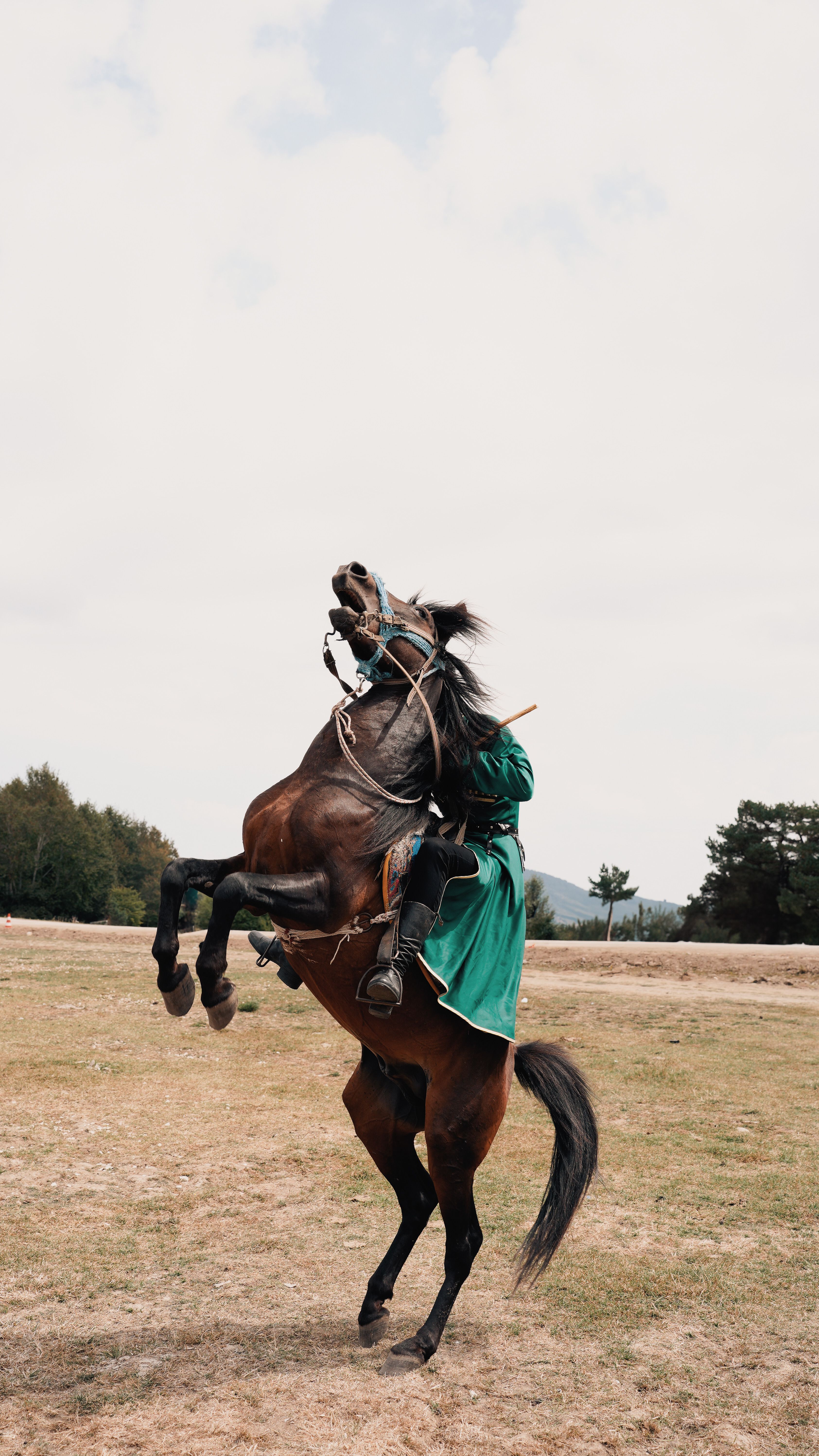 Horse Rider Medieval Photos, Download The BEST Free Horse Rider ...