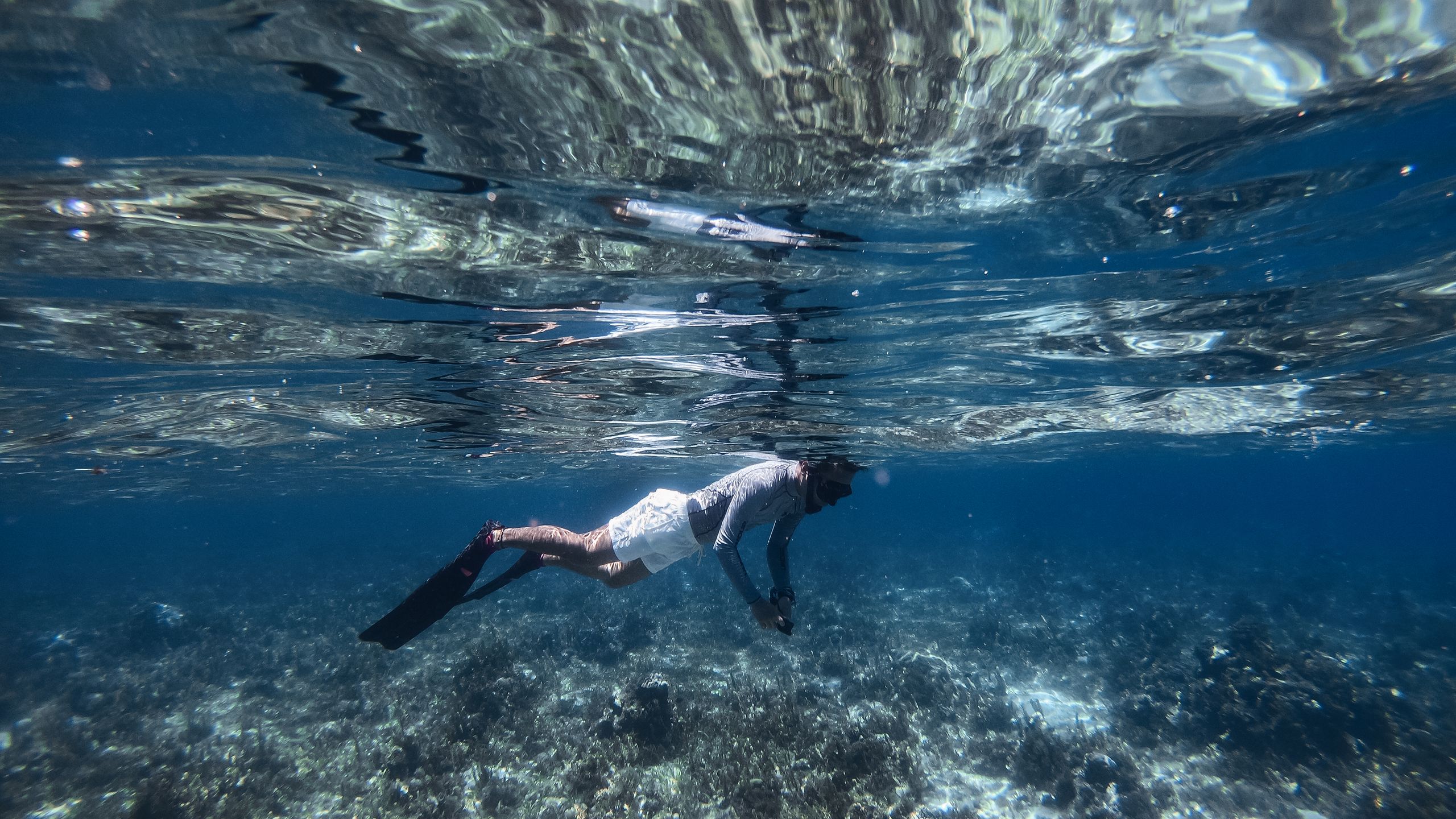 Oman Snorkelling: Best Spots from Muscat to Musandam