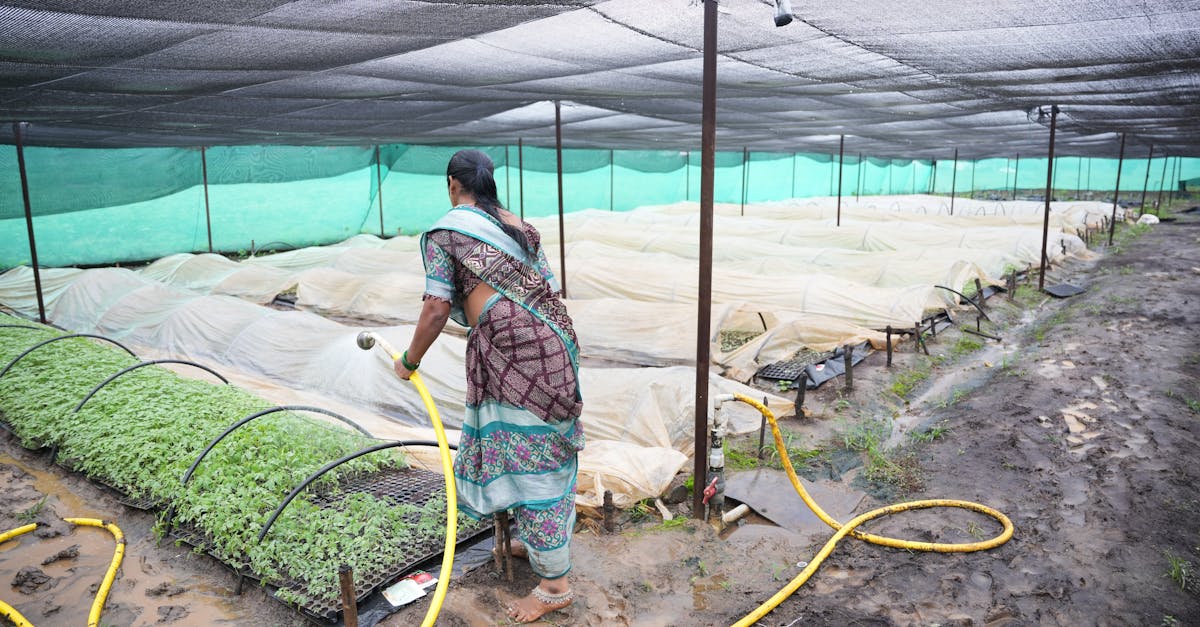 A person watering plants in a garden with a watering can.