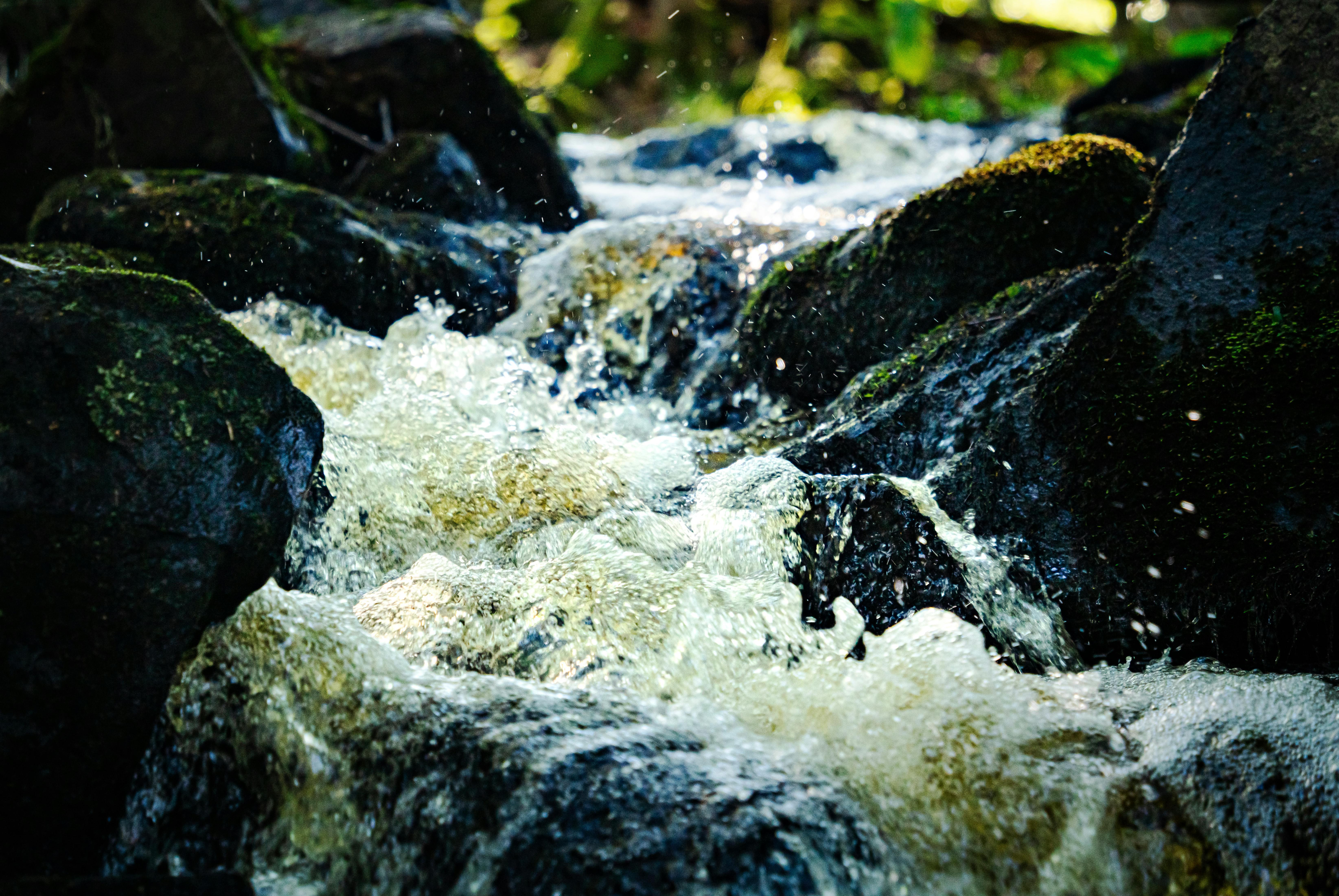 Family walking in a safe and green neighborhood, symbolizing community life.