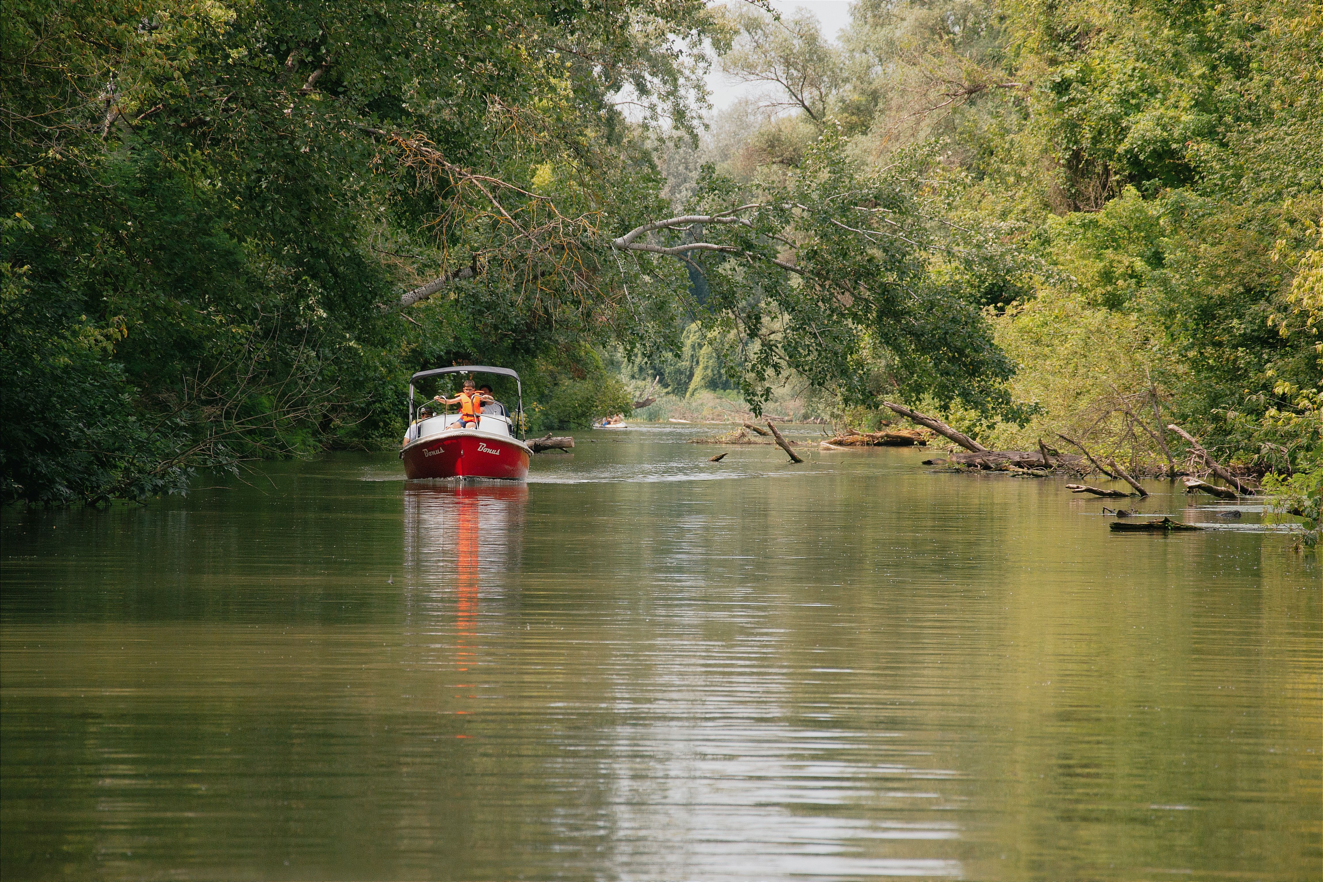 Calm river scene with a boat navigating through lush greenery in Hungary.