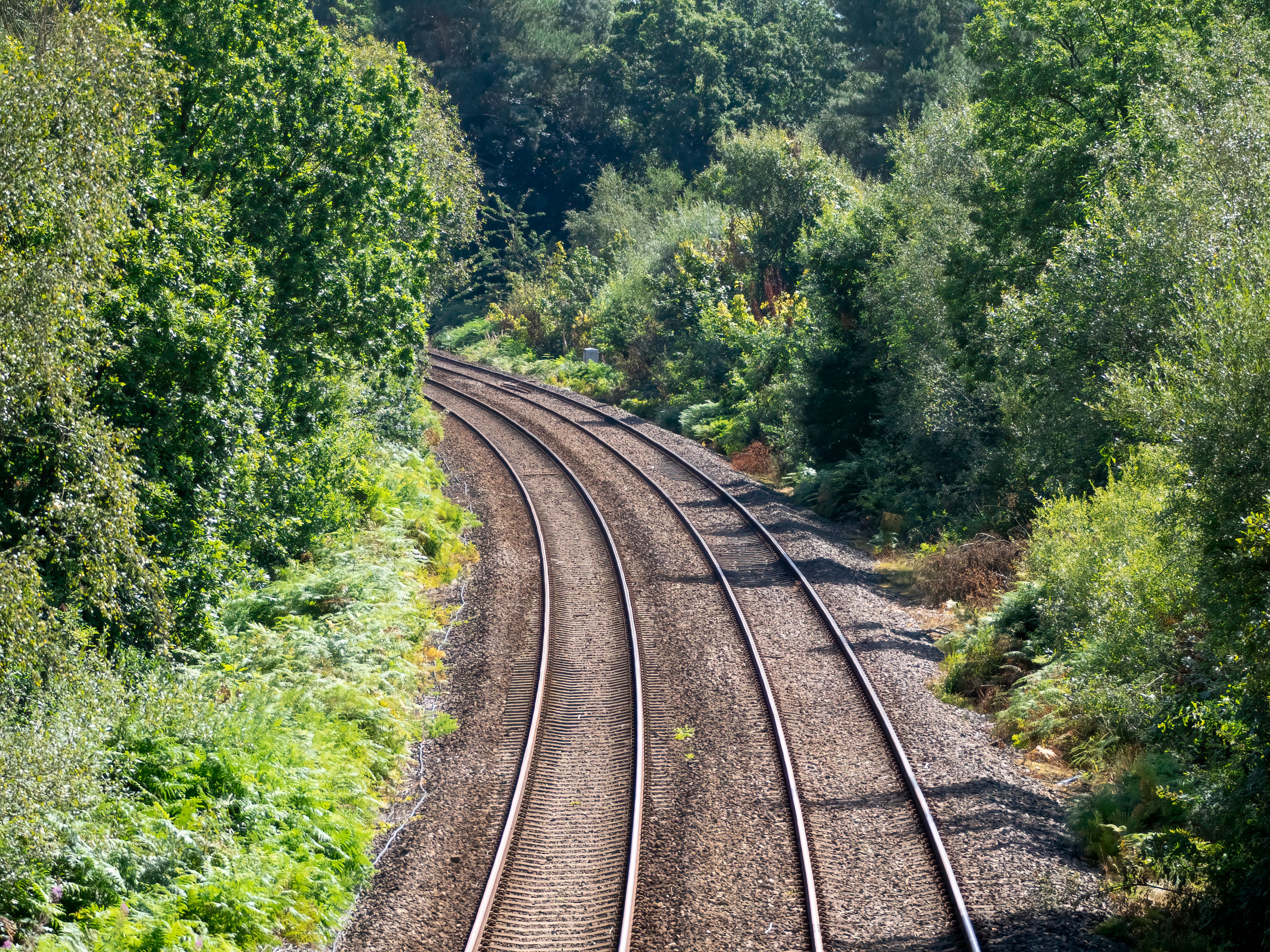 Senior Rail Journeys: How to Turn Discounted Train Tickets Into Comfortable, Scenic Adventures