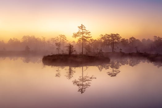 Peaceful sunrise over a misty lake with silhouetted trees and reflections.