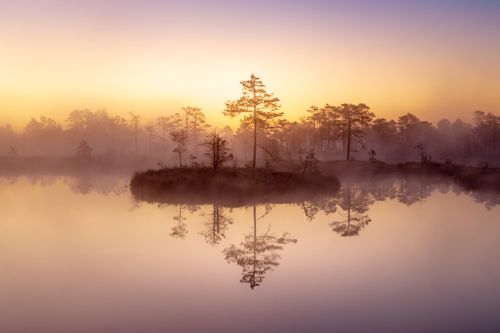 Free Peaceful sunrise over a misty lake with silhouetted trees and reflections. Stock Photo